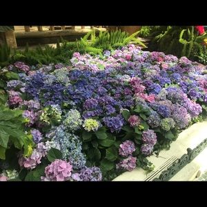 Meet your Posher, Kristina